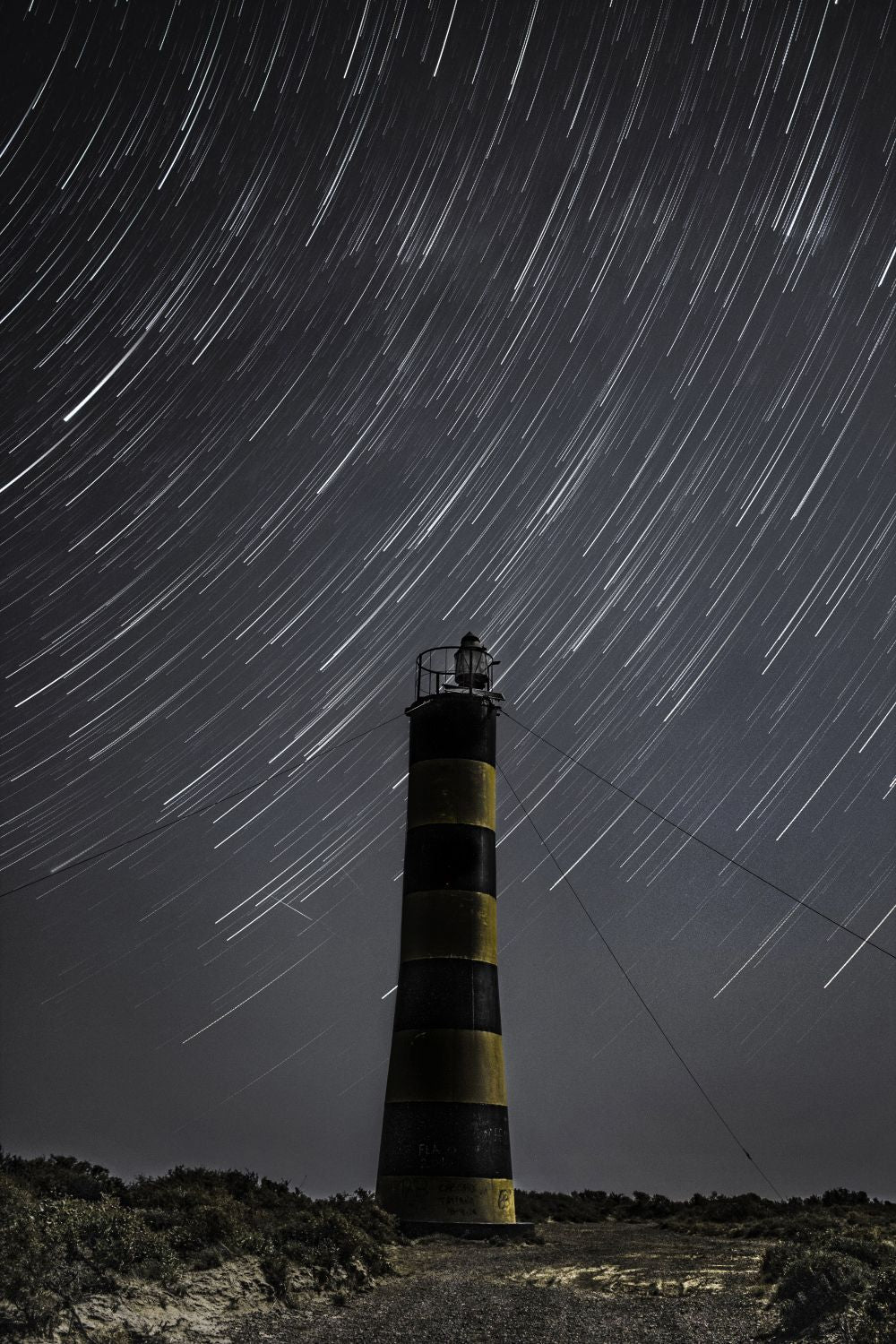 LIGHTHOUSE BULB