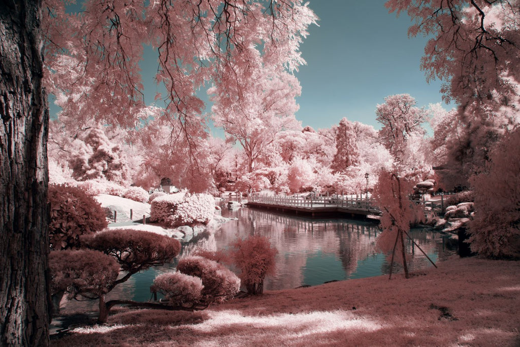 Pink garden