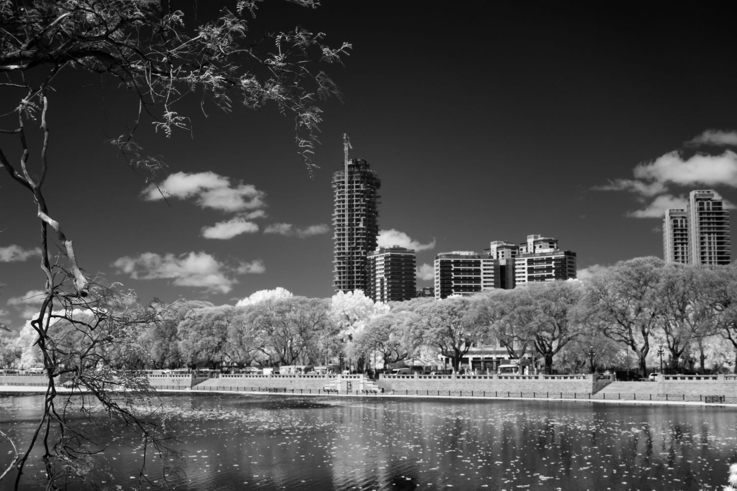 Reserva ecológica Costanera Sur