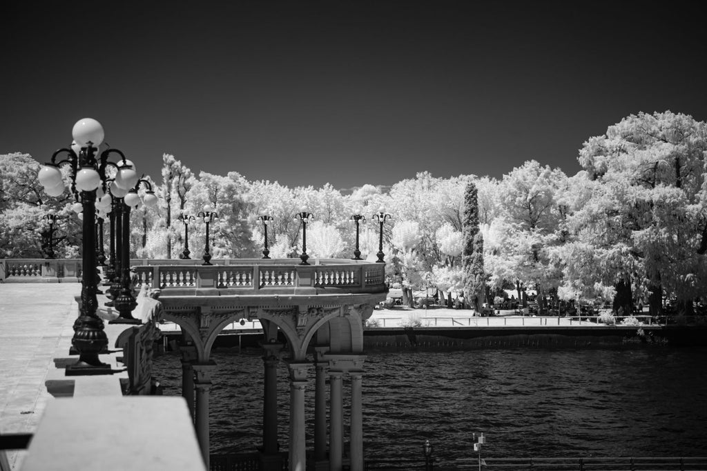 Paseo por el Tigre