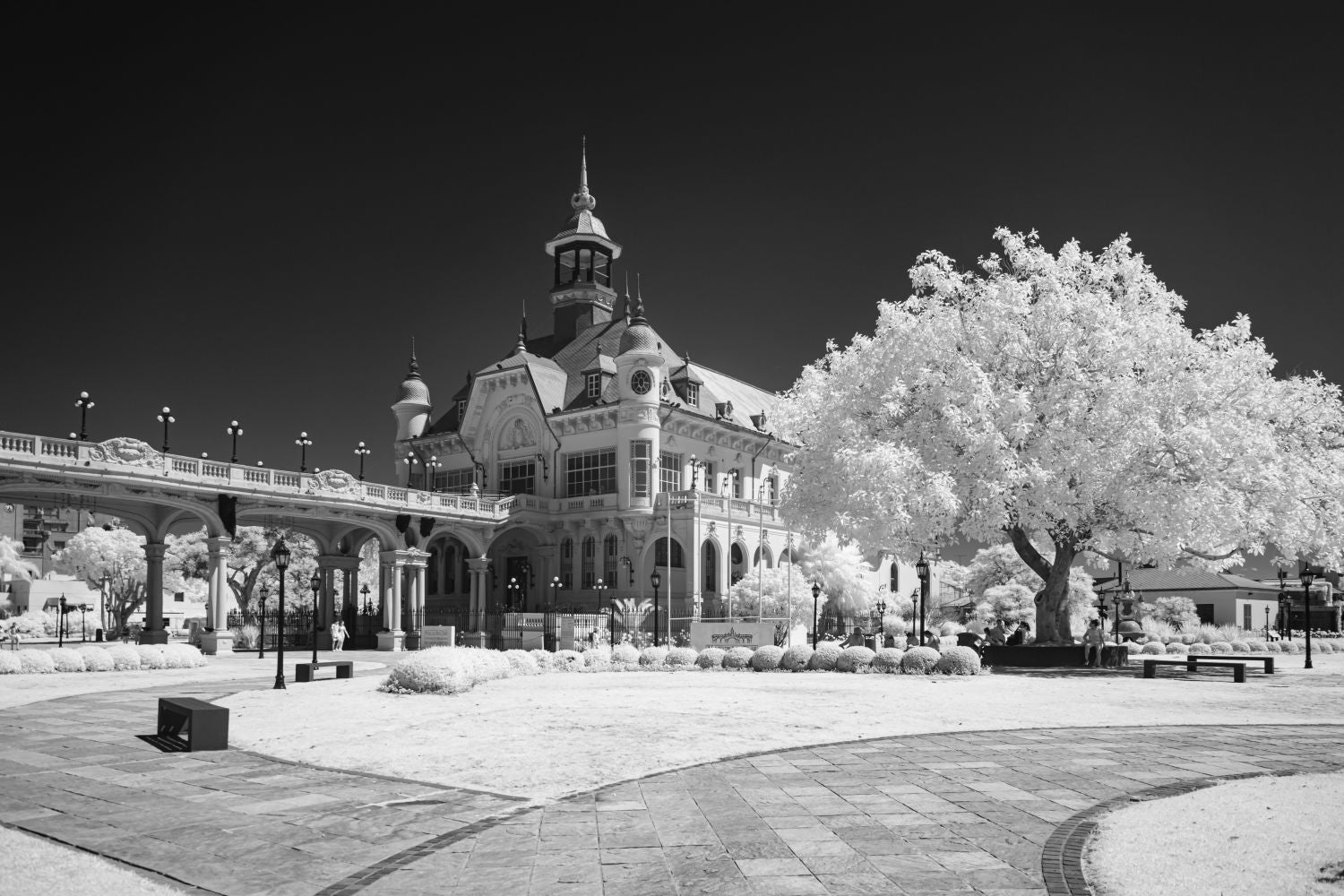 Museo de Arte Tigre