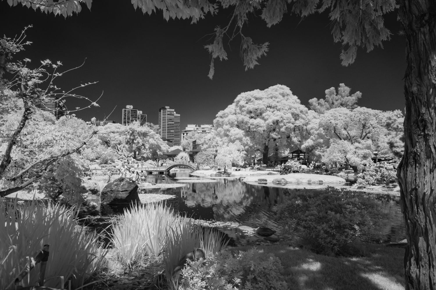Jardín Japones