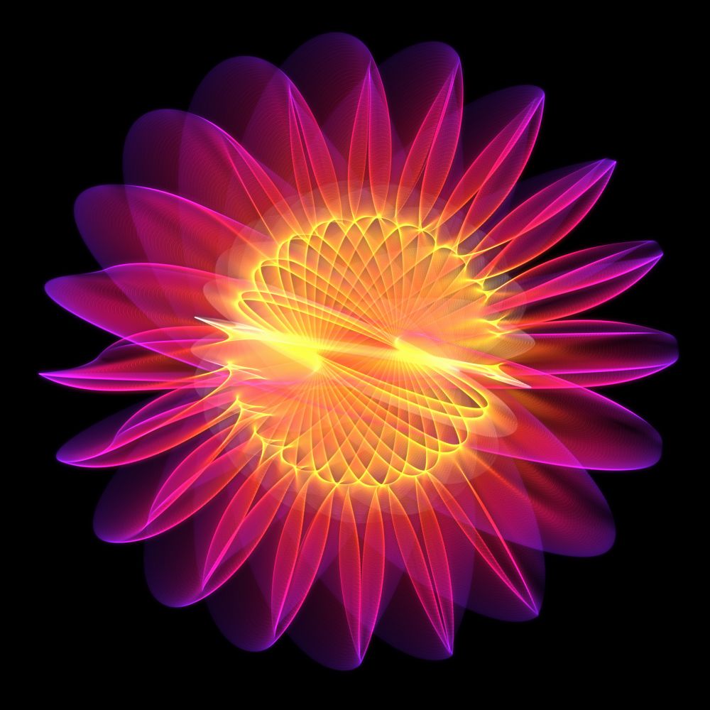 Flor 3