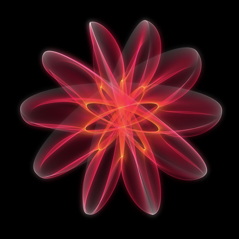 Flor 5