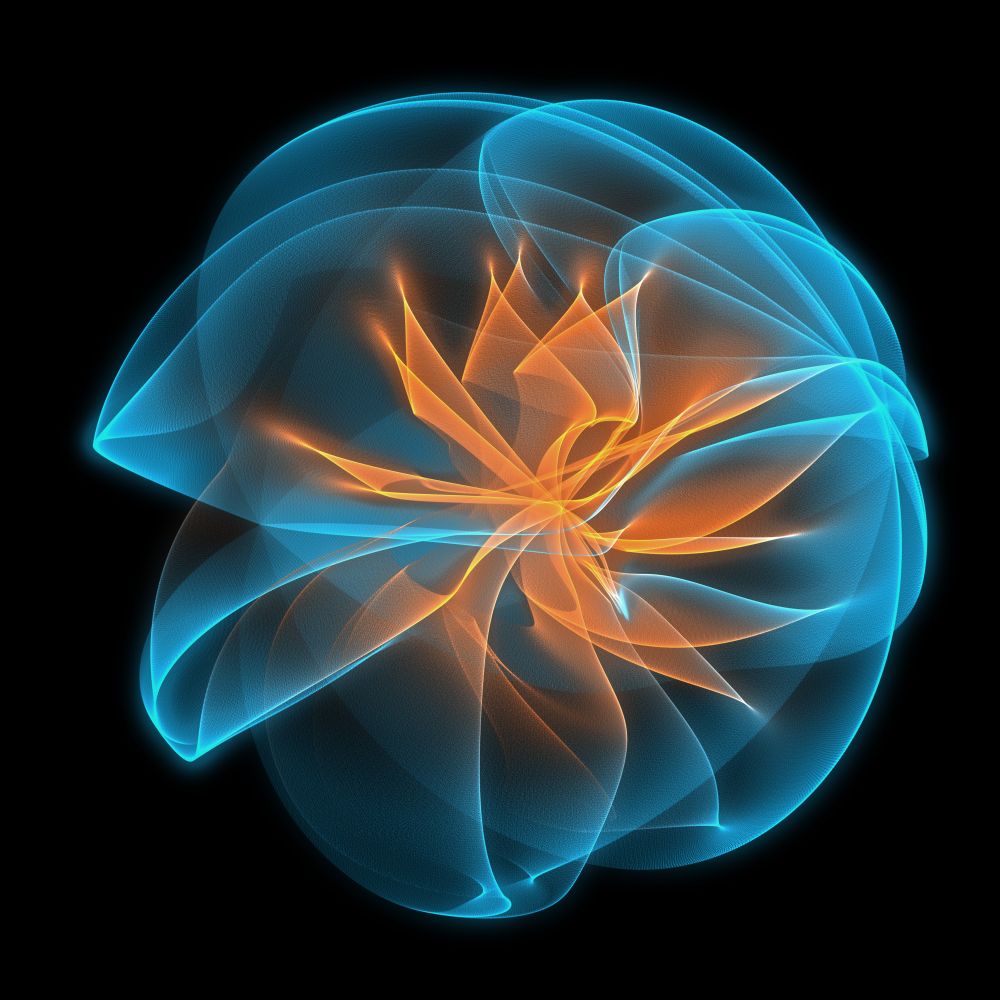 Flor 6