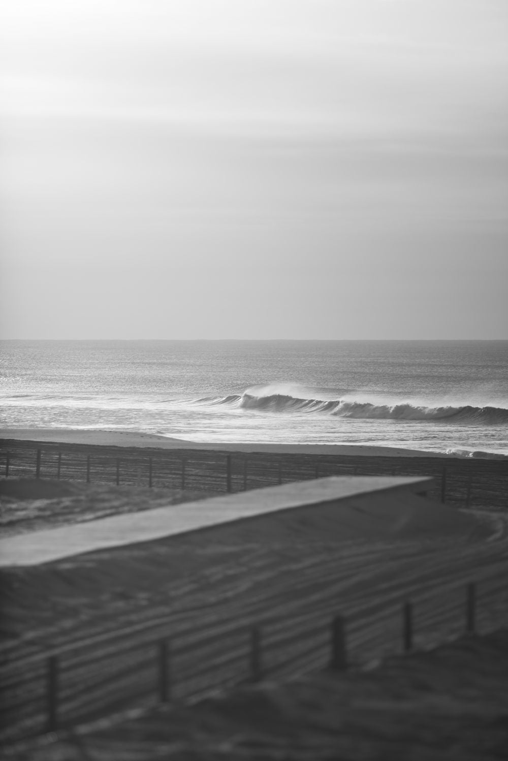 Steps Along the Beach