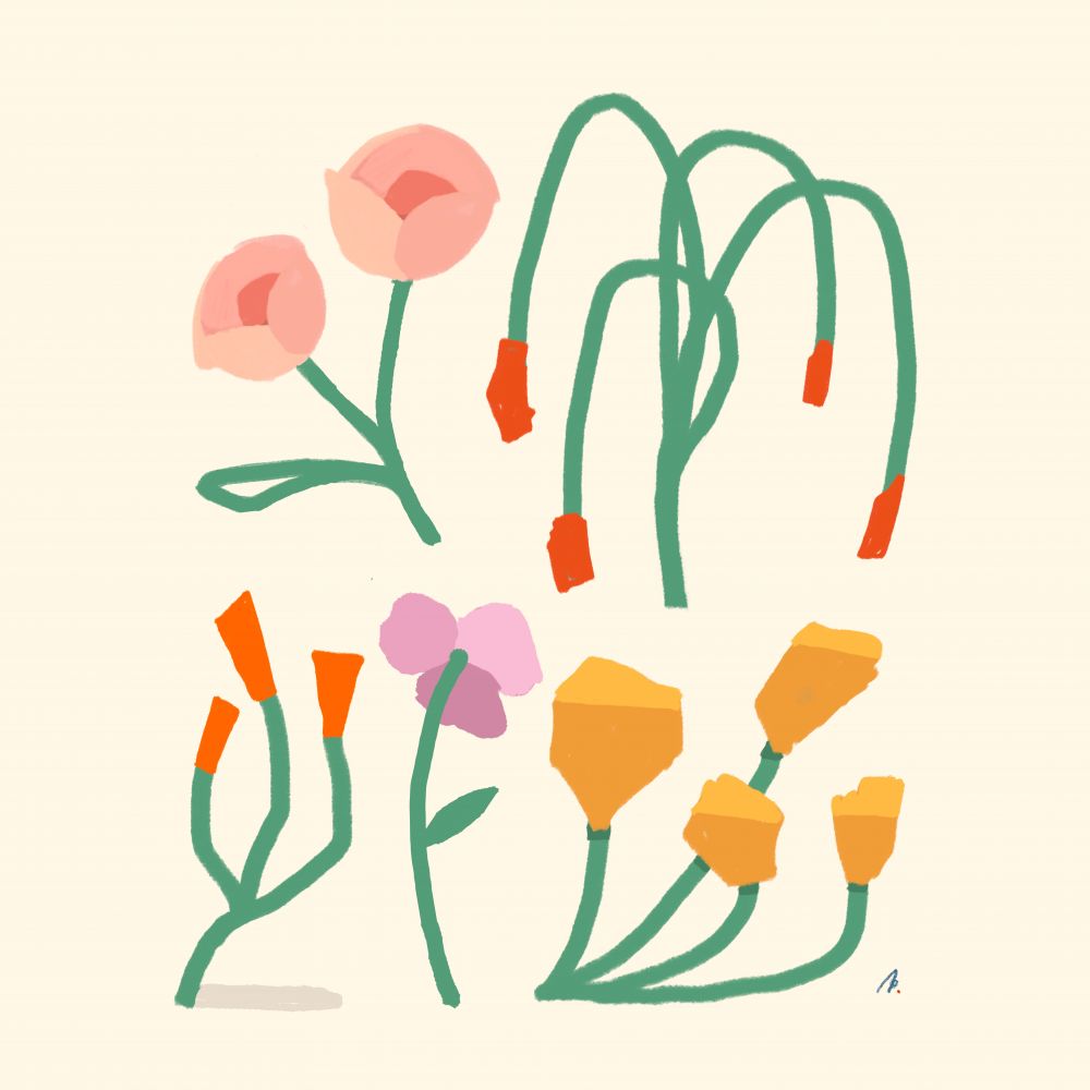 Flora
