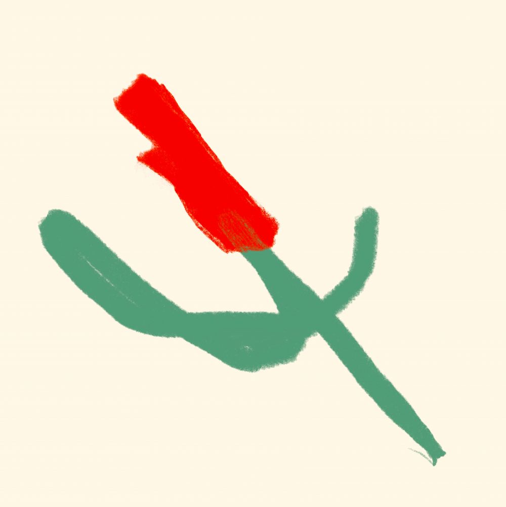 Rosa