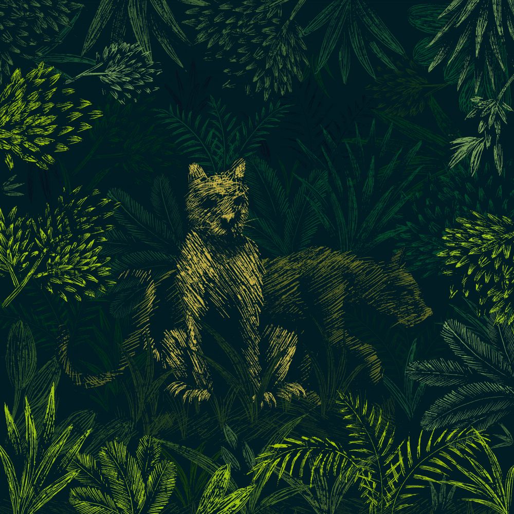 Pumas