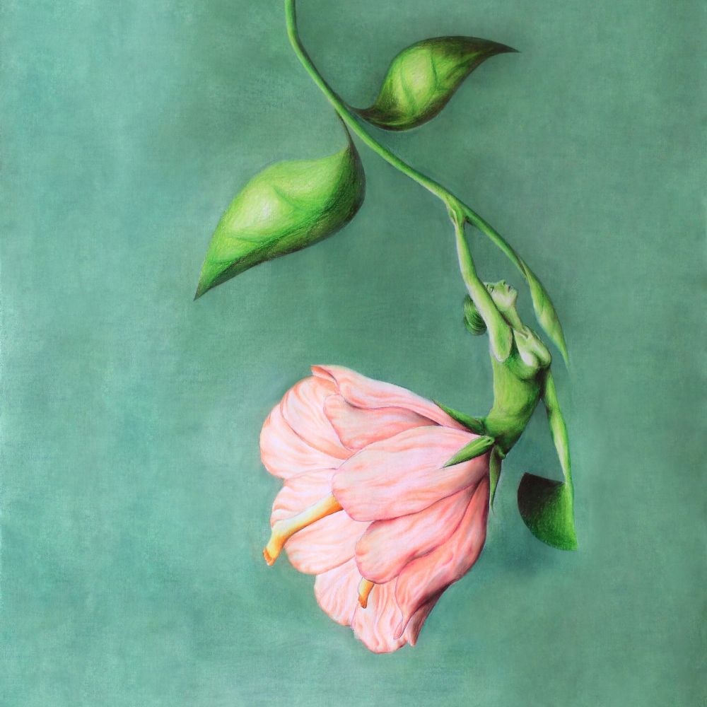 Flor