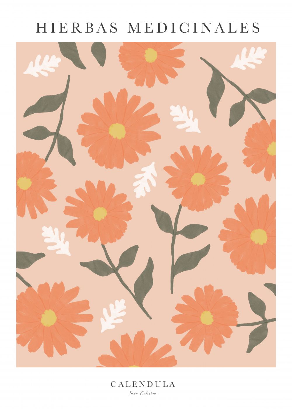 Calendula