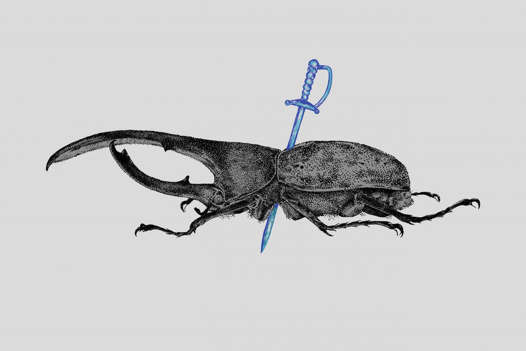 Dynastes Hercules