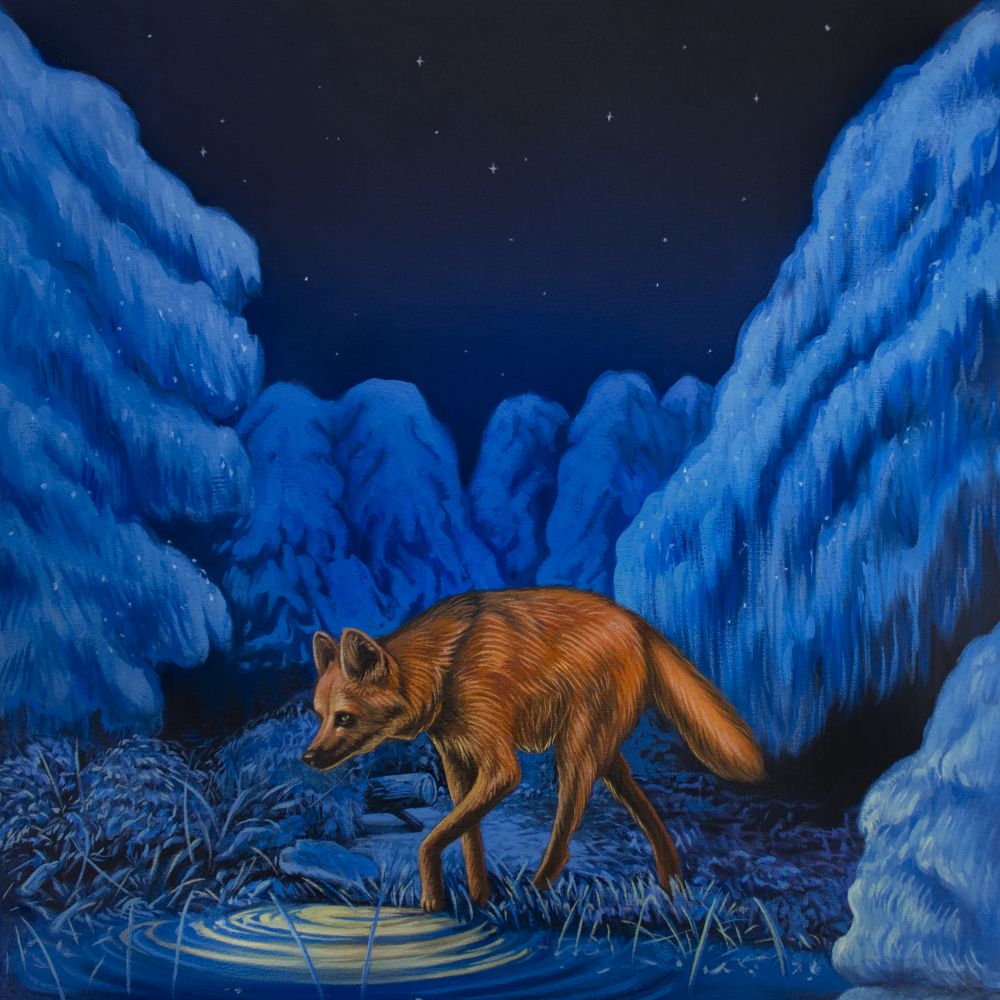 Noches sin luna