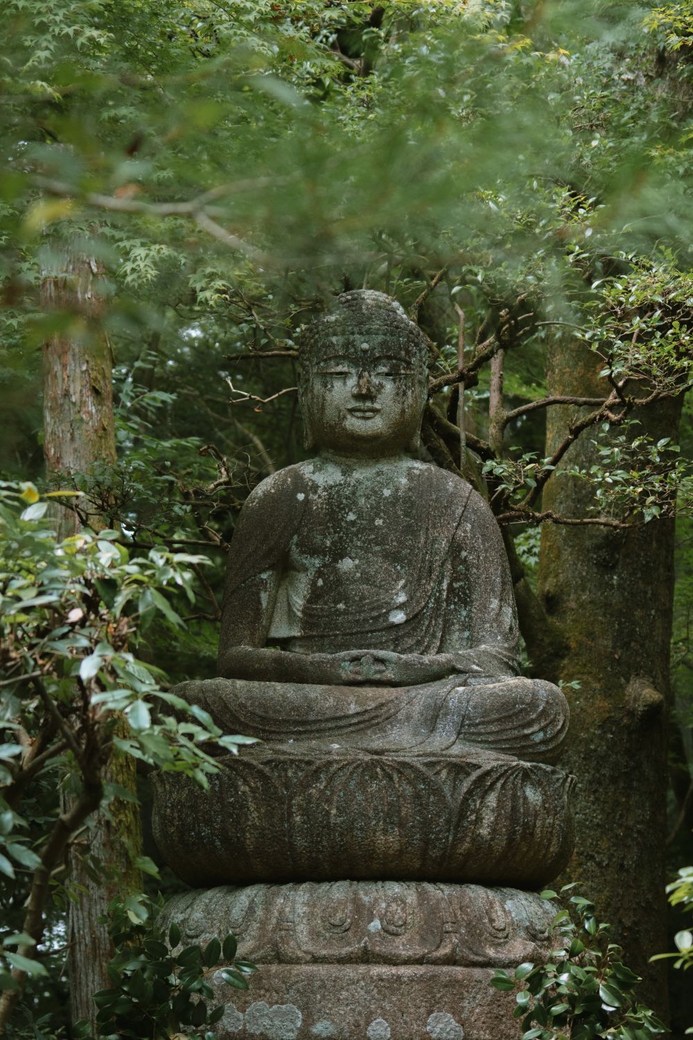 Kyoto Buda