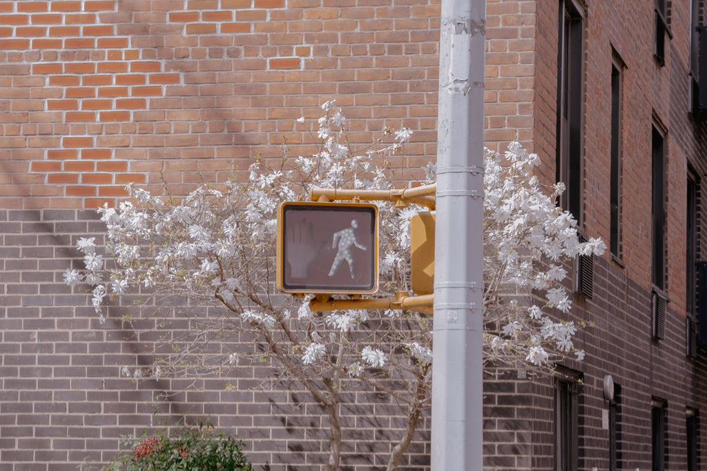 Walk this Way
