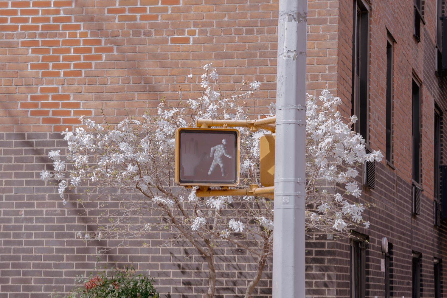 Walk this Way