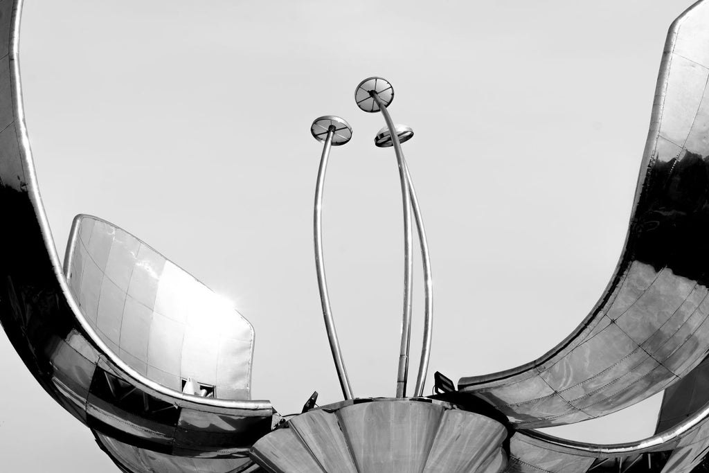 Floralis Generica