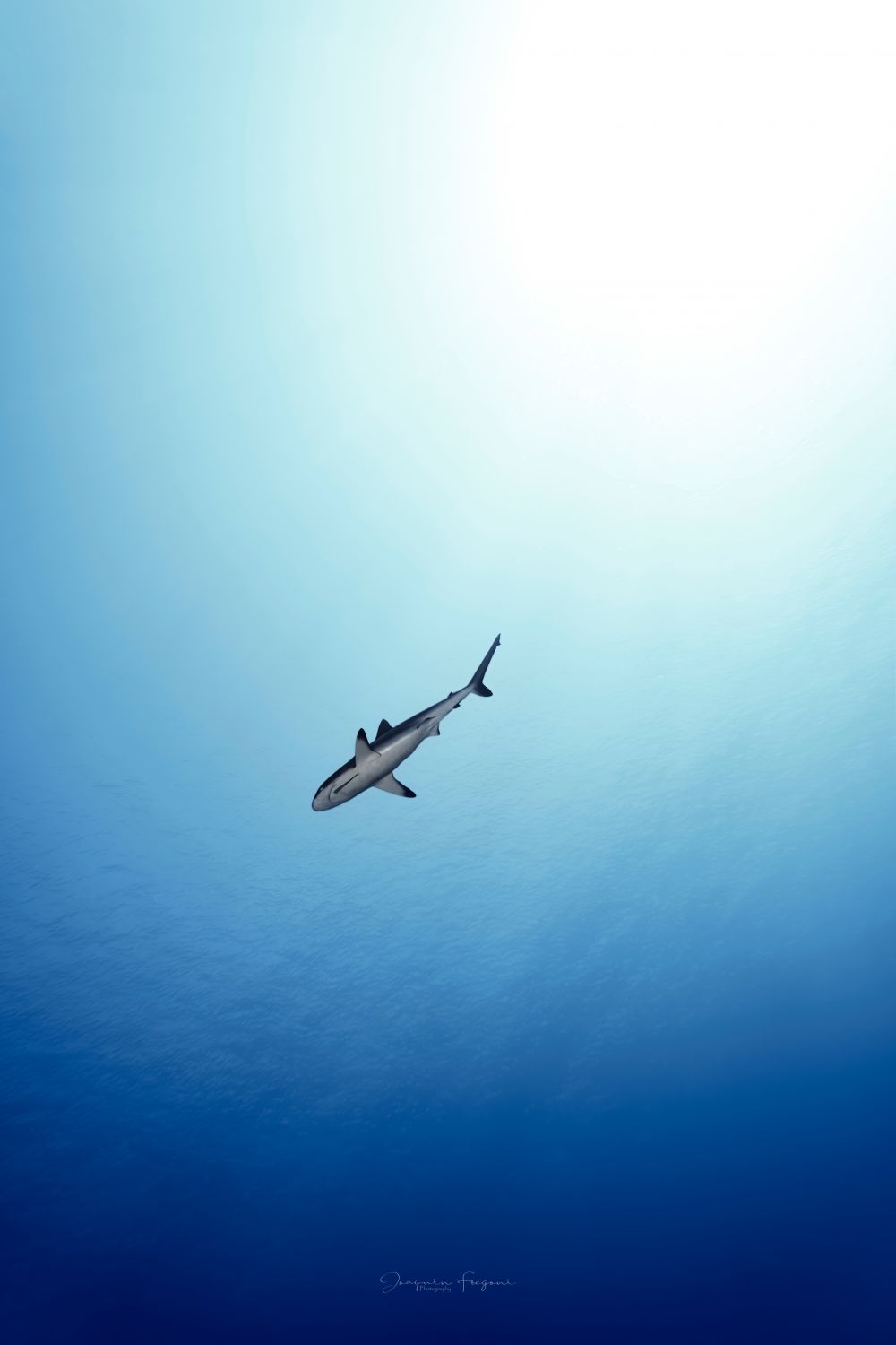 From Below