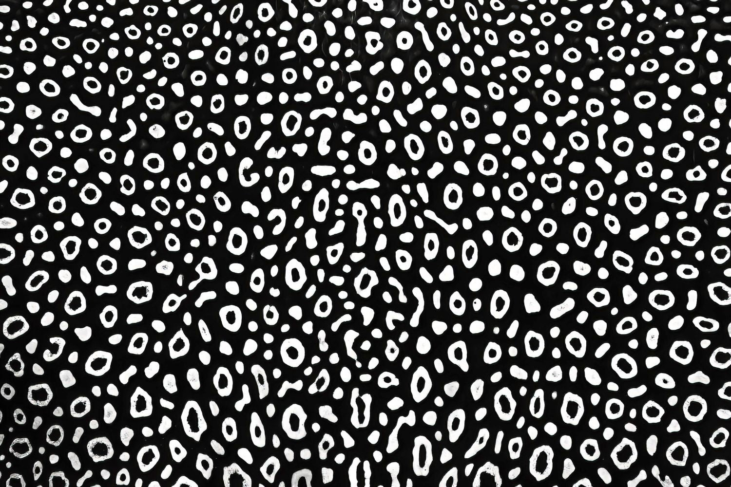 Raya jaspeada Horizontal / Vertical