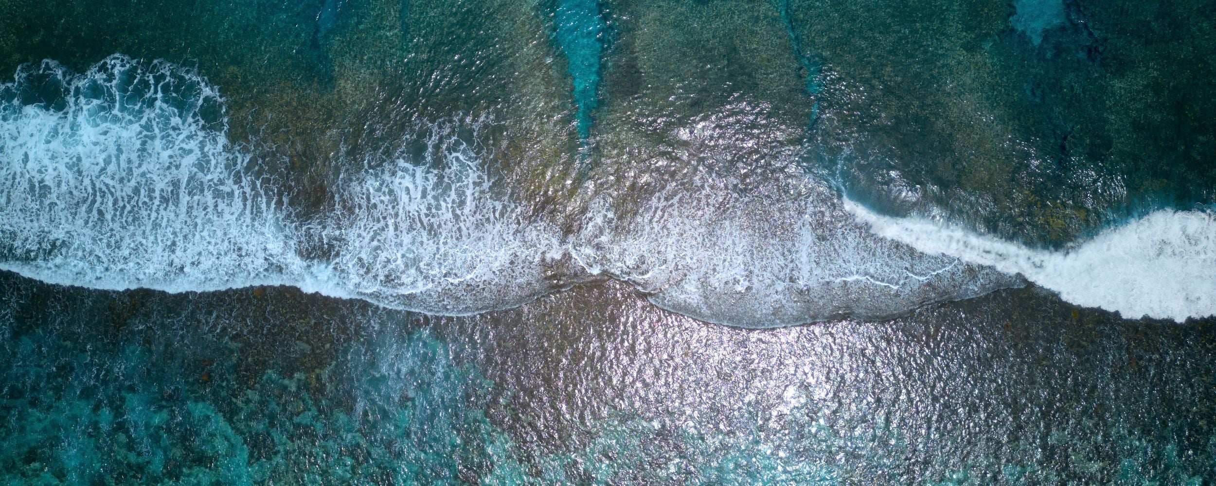 Reef