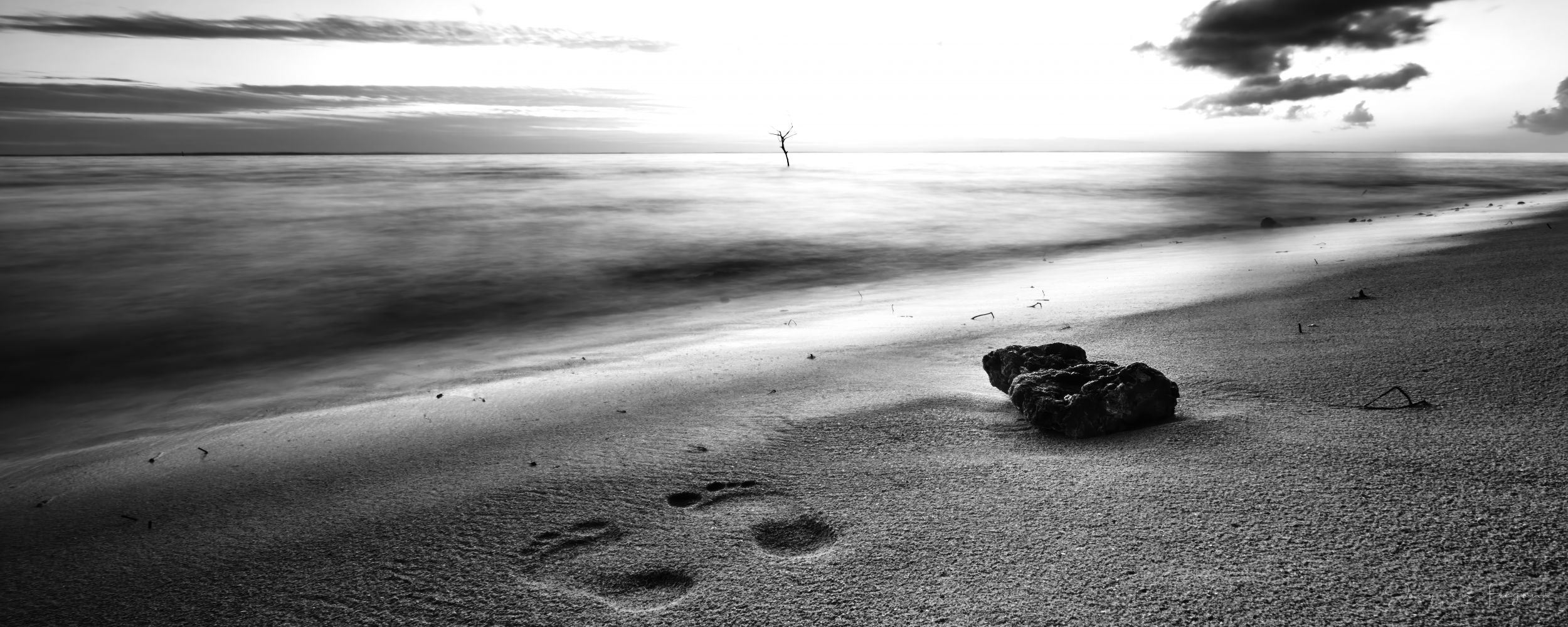 Prints