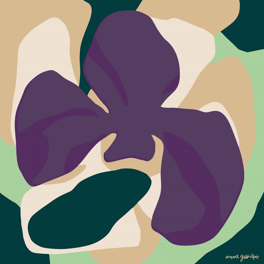 Orquídeas I