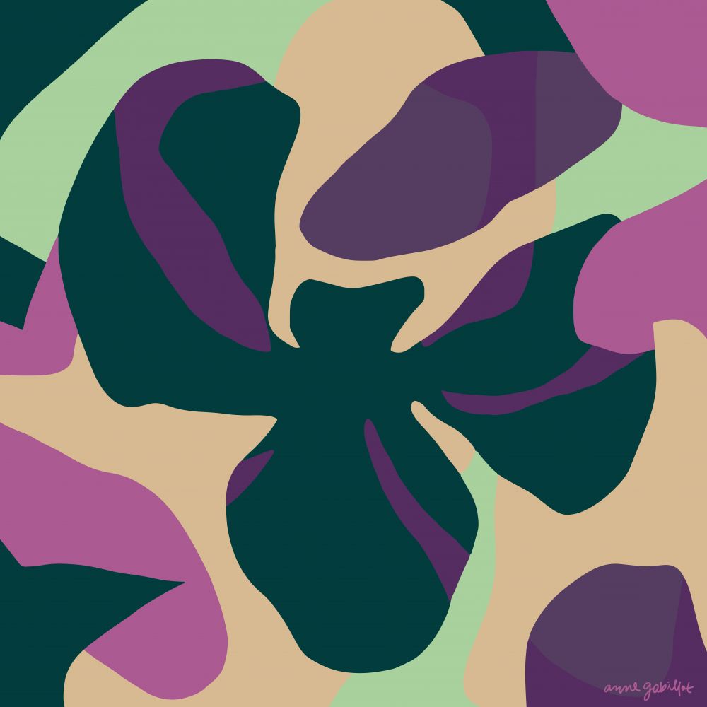 Orquídeas II