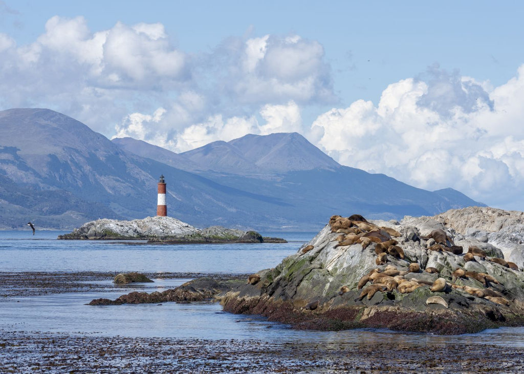 Navegando por el Canal de Beagle