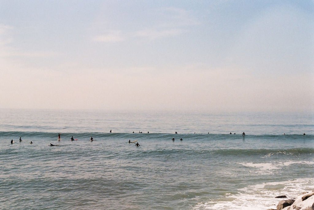 Surfistas, Venice Beach