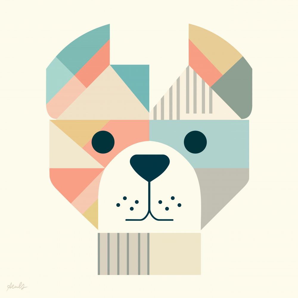 Pedro el perro