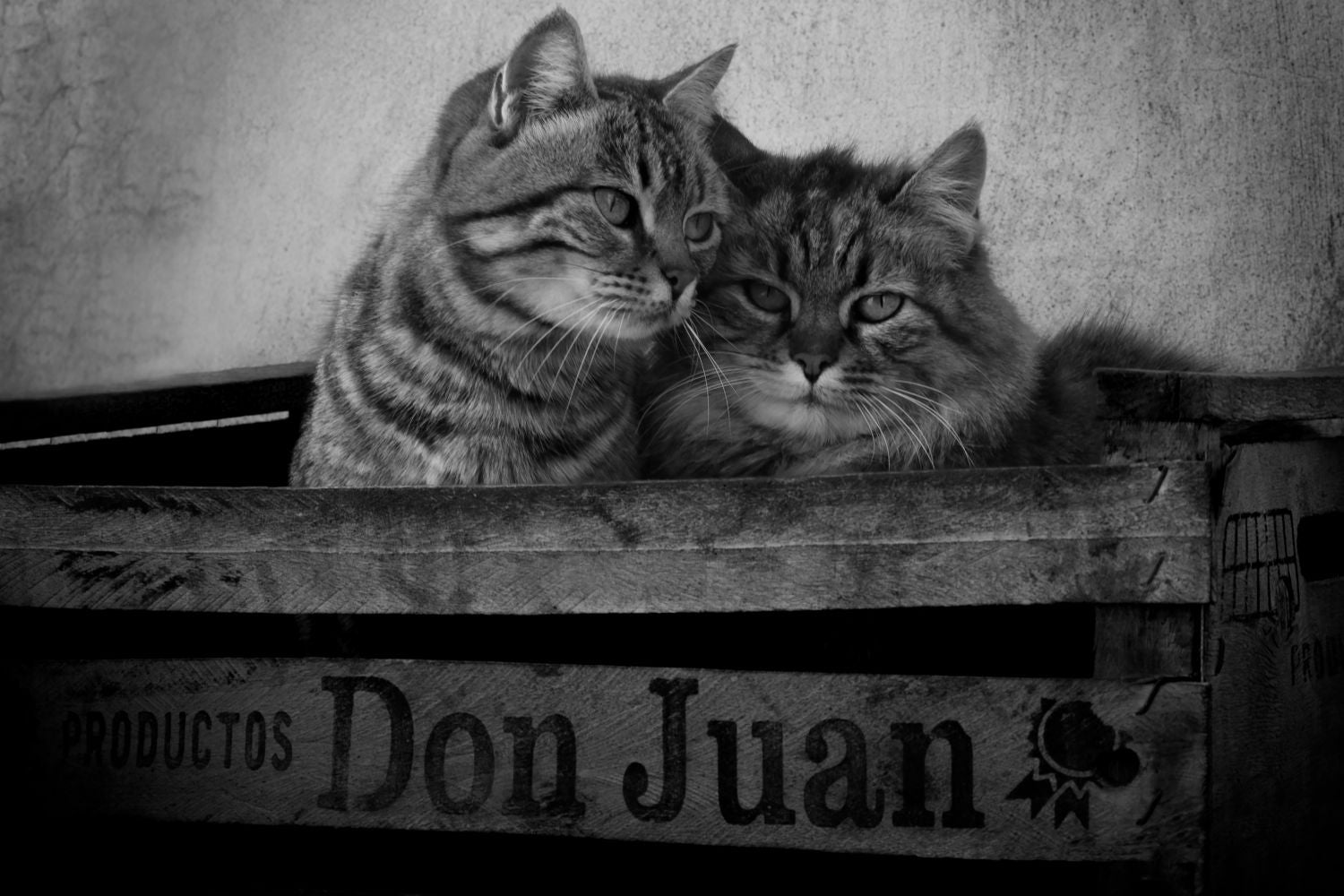Madre e Hijo