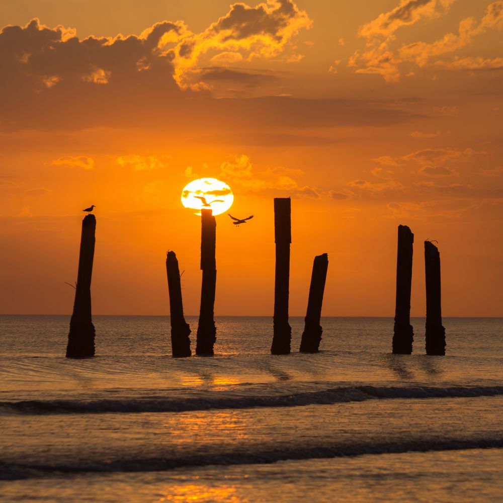 Volando cerca del sol