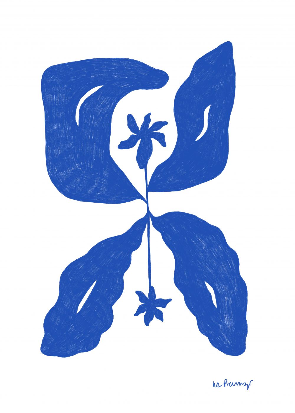 Flor azul 6