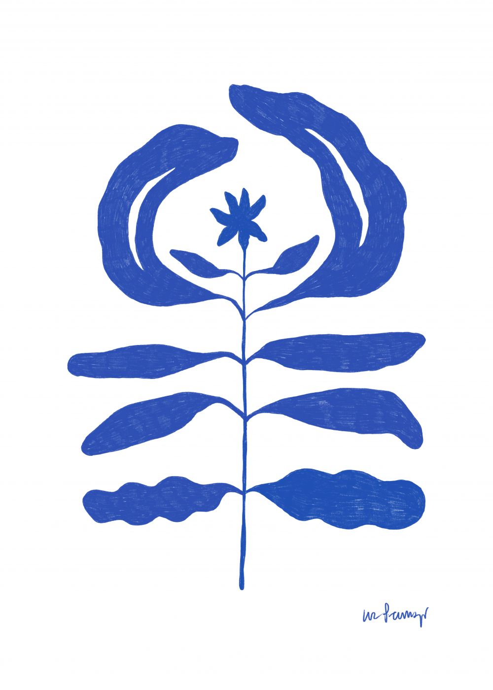 Flor azul 7