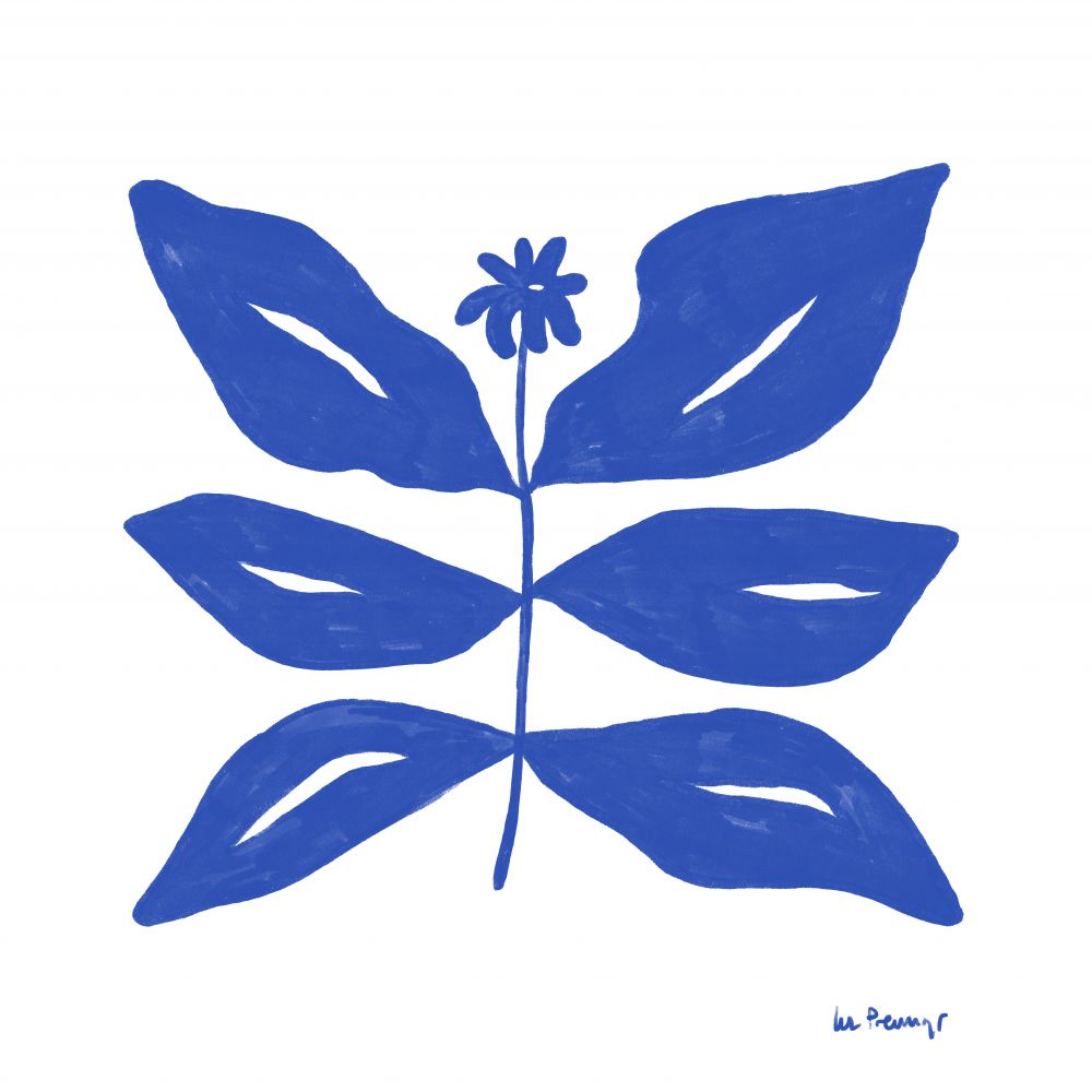 Flor azul 8