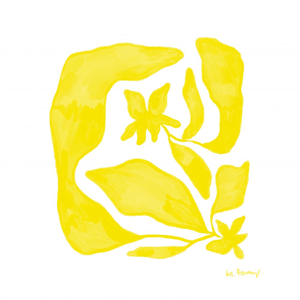 Flor amarilla 6