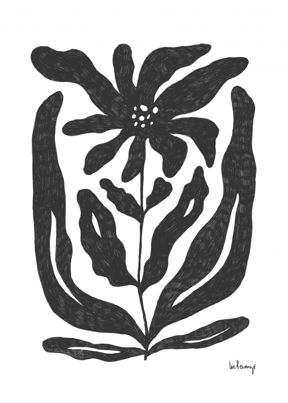 Flor casi negra 2
