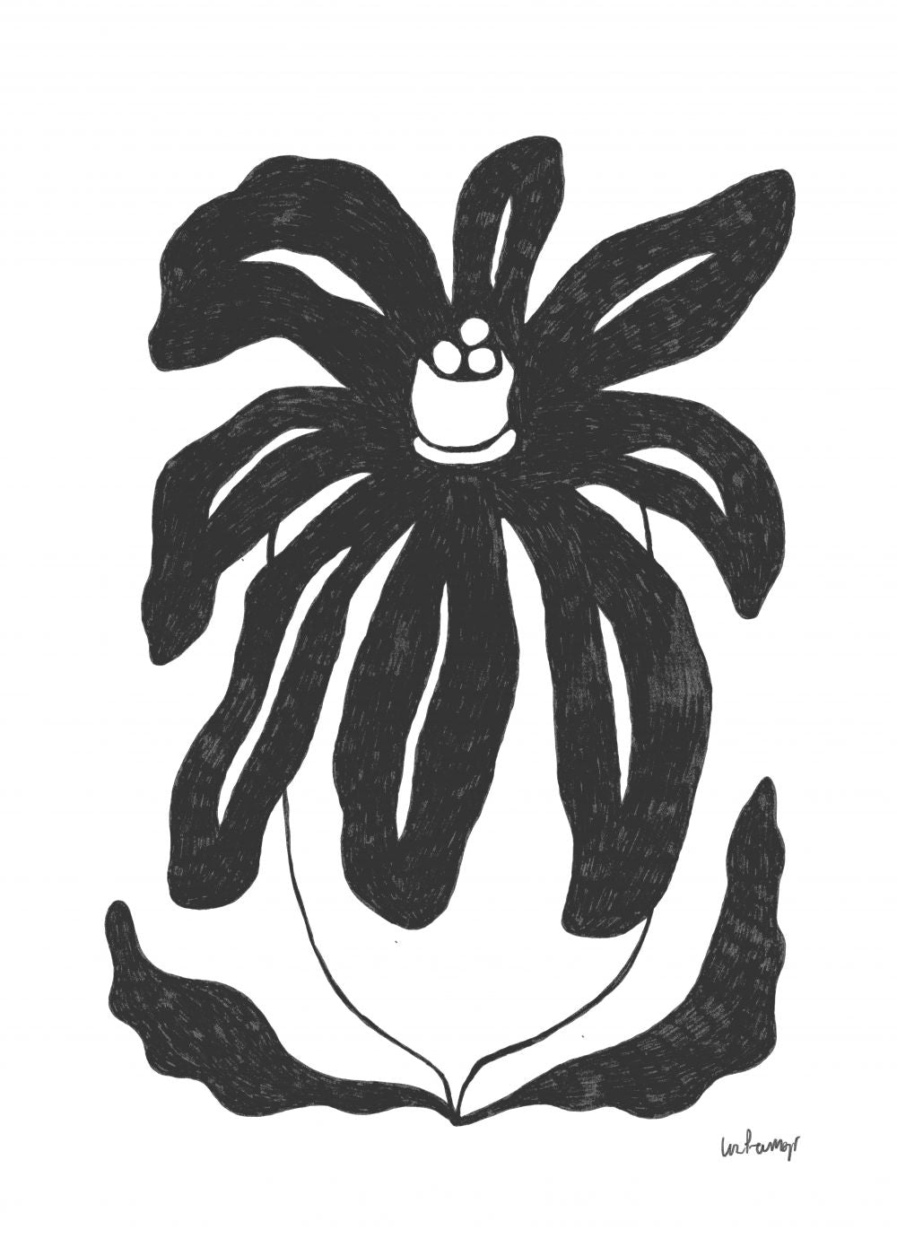 Flor casi negra 3