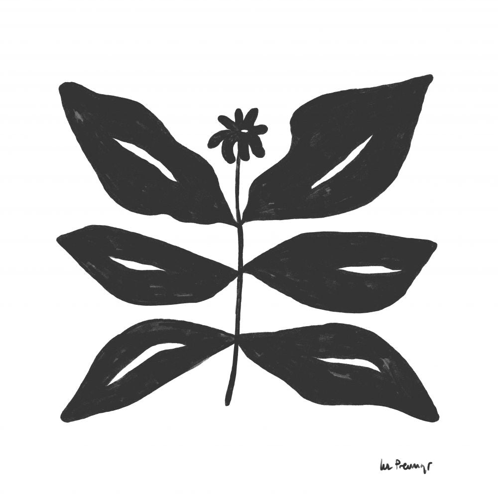 Flor casi negra 8