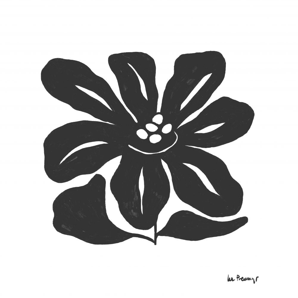 Flor casi negra 9