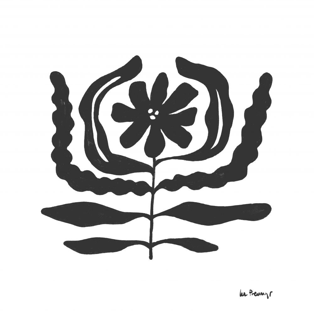 Flor casi negra 10