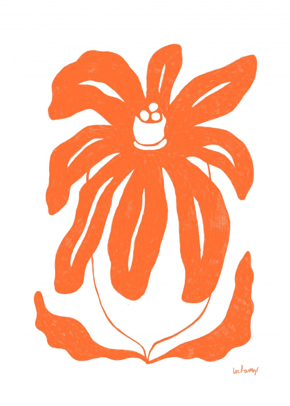 Flor naranja 3