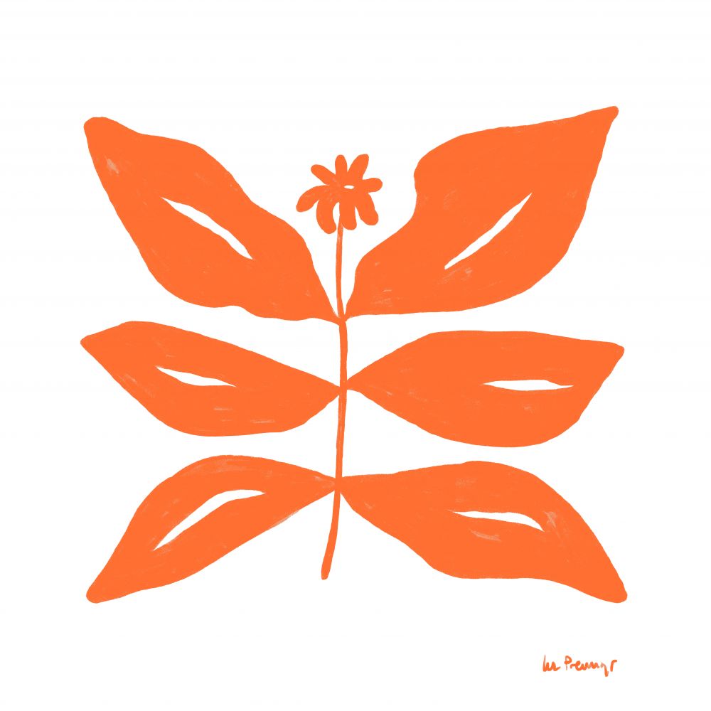 Flor naranja 8