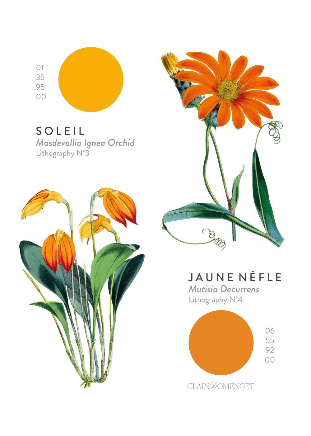FLEURS ET COULEURS