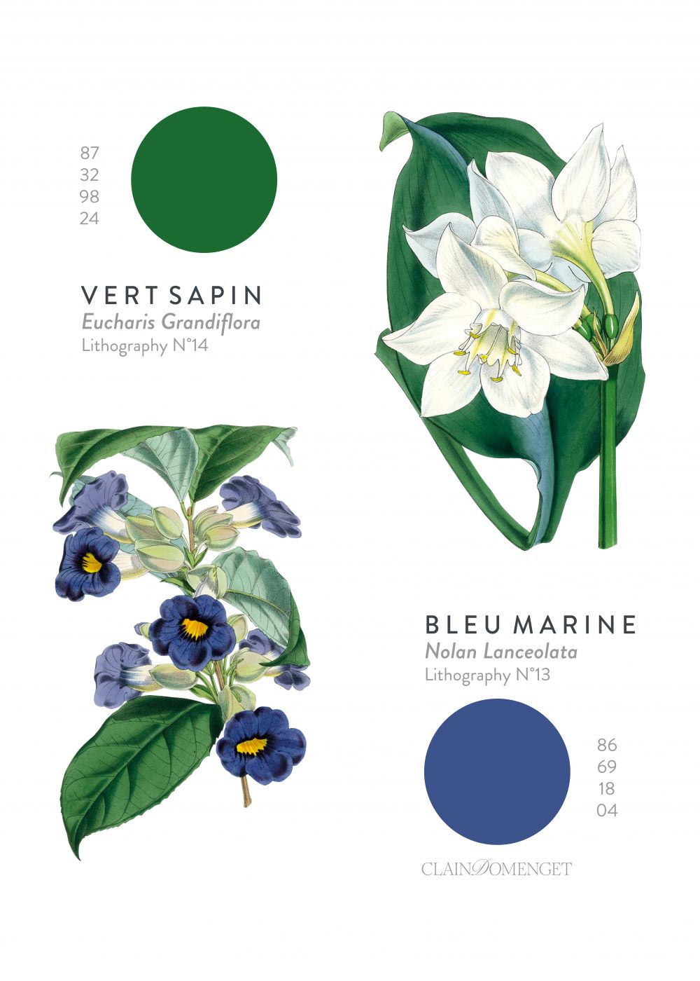 FLEURS ET COULEURS