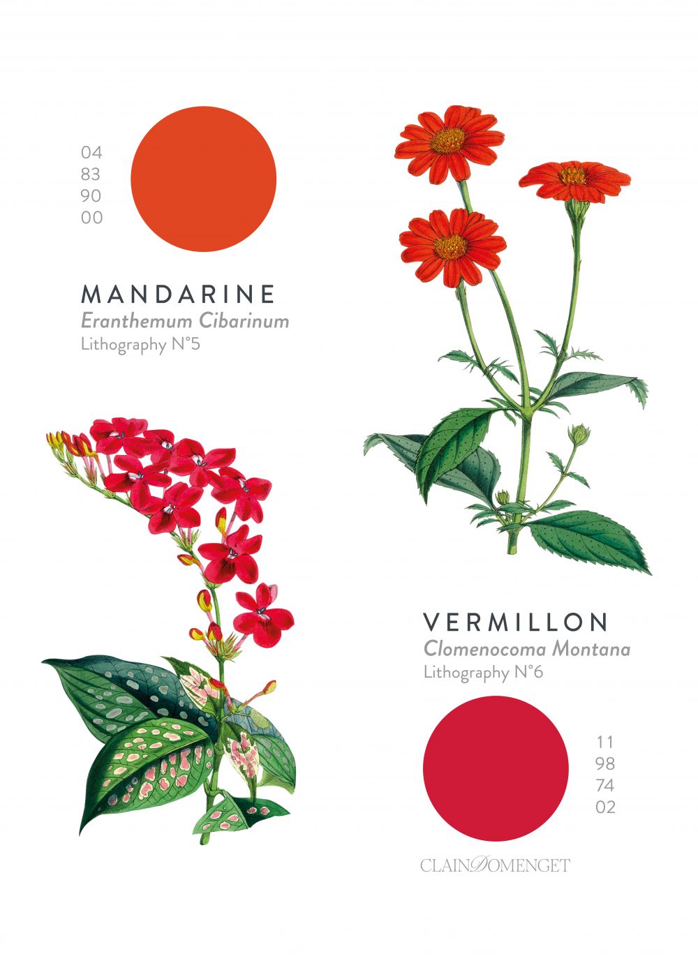 FLEURS ET COULEURS