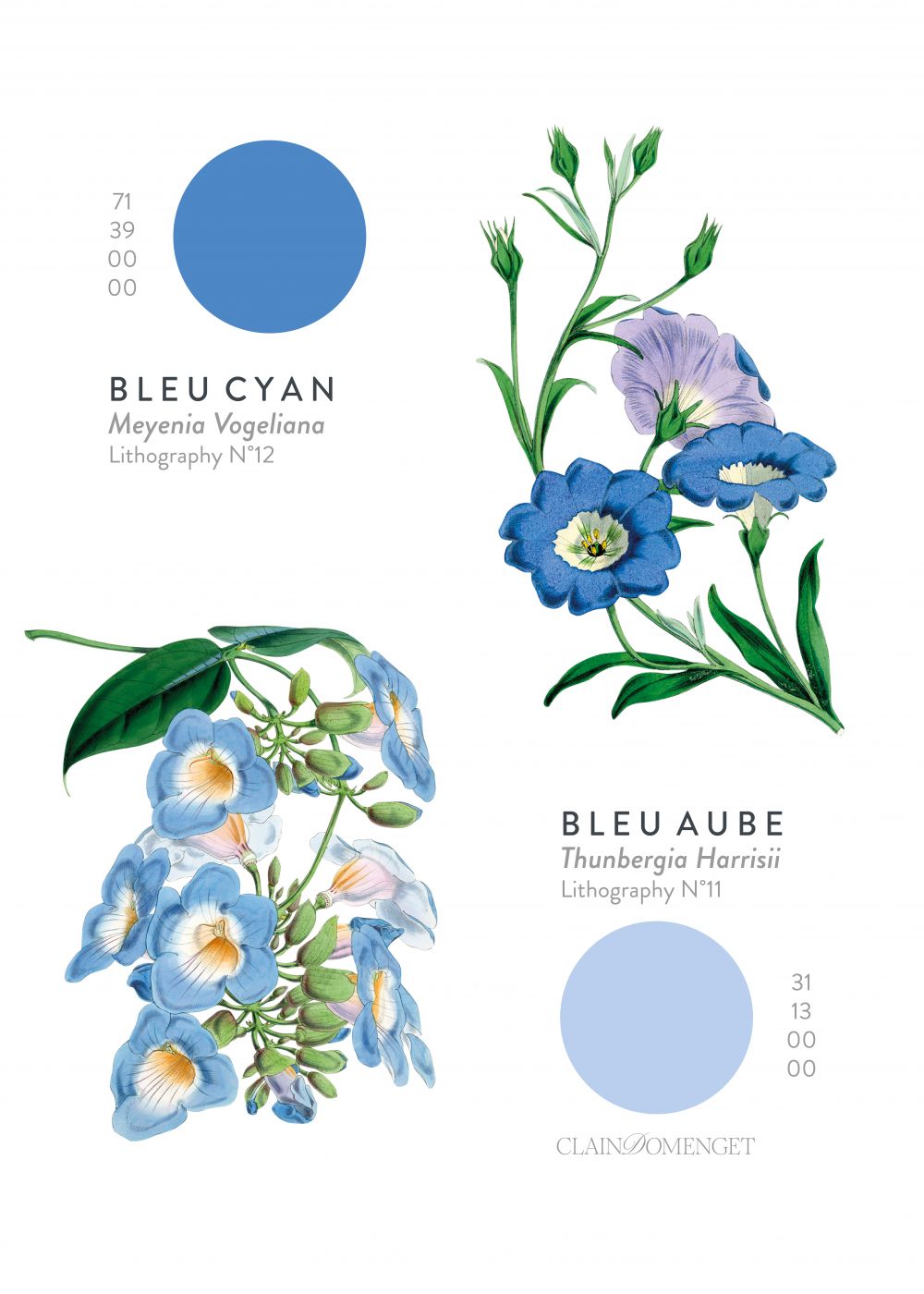 FLEURS ET COULEURS