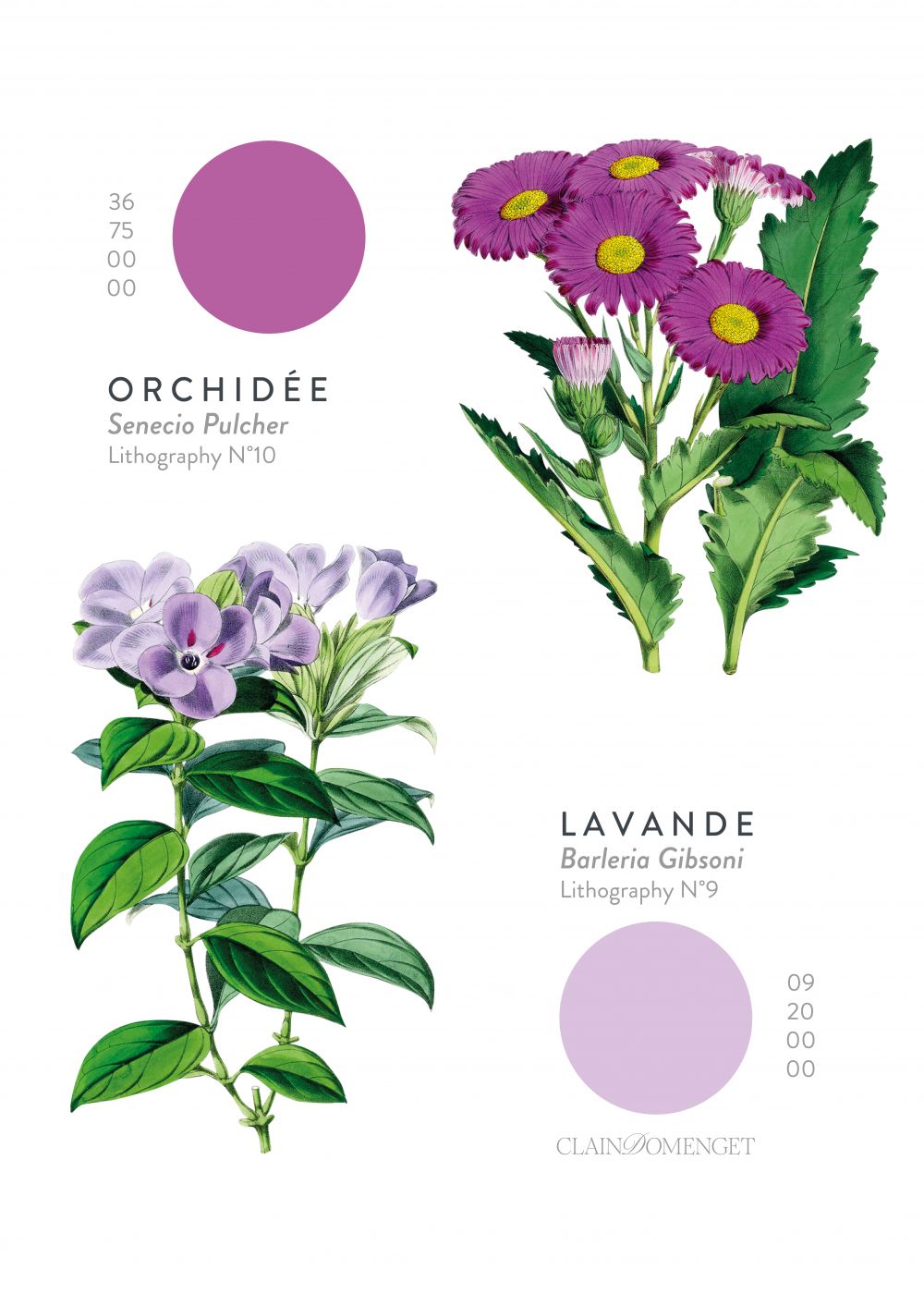 FLEURS ET COULEURS