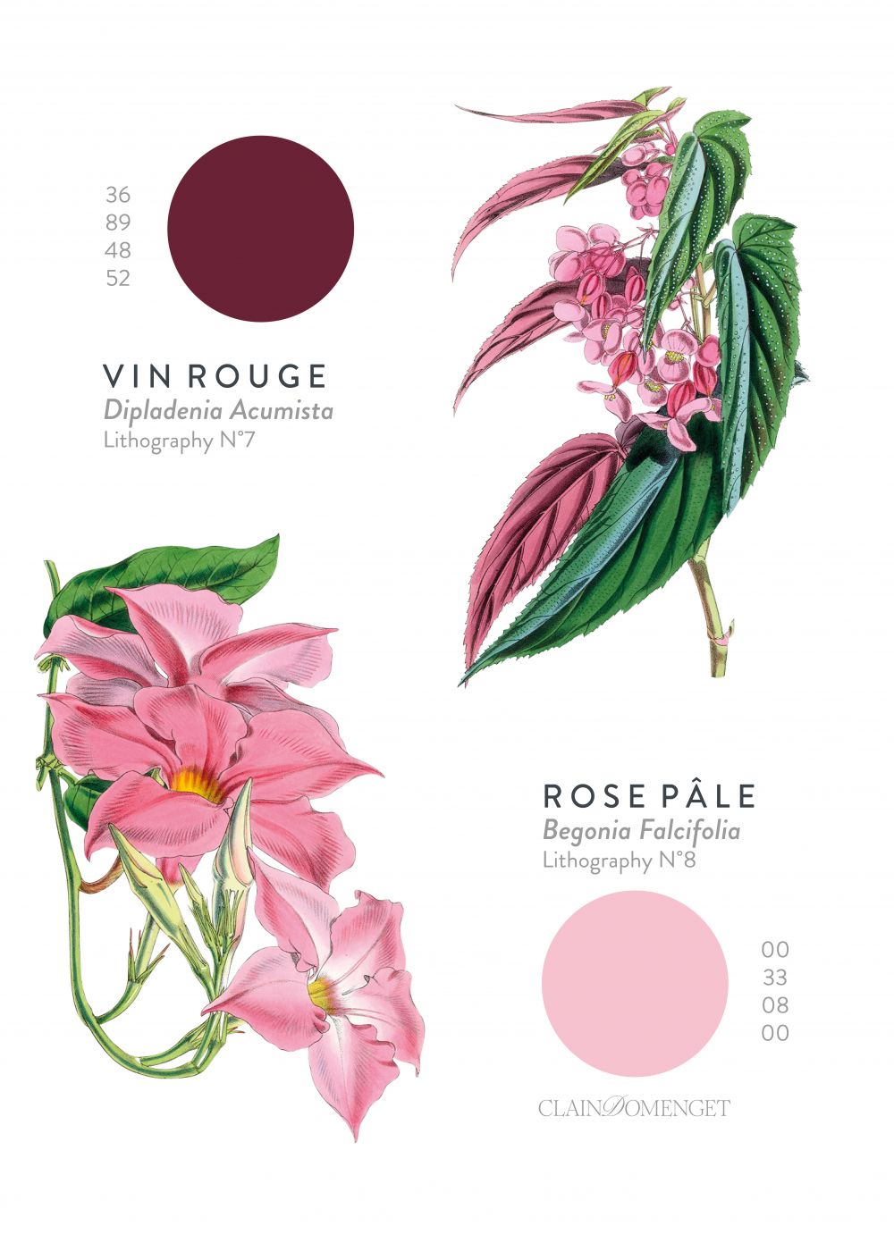 FLEURS ET COULEURS