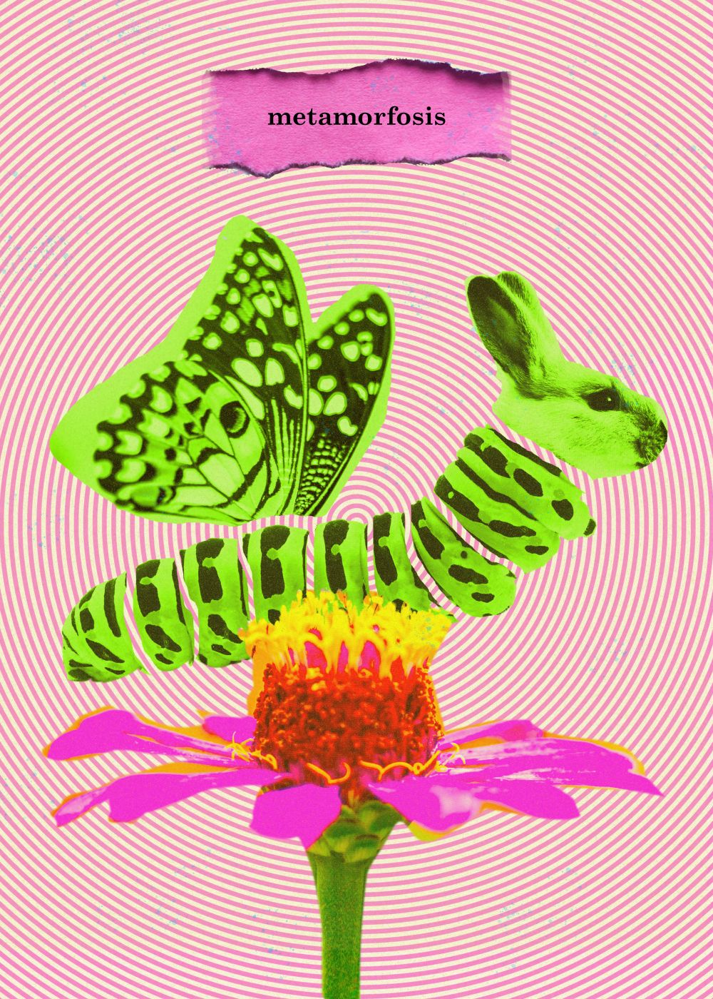 Metamorfosis